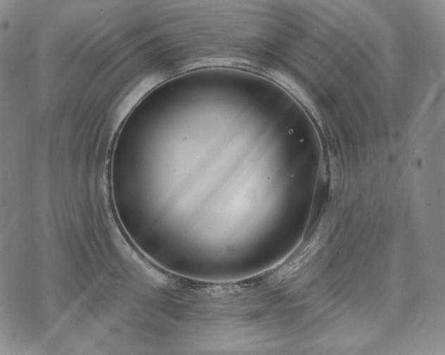 X0000071960906200607141431