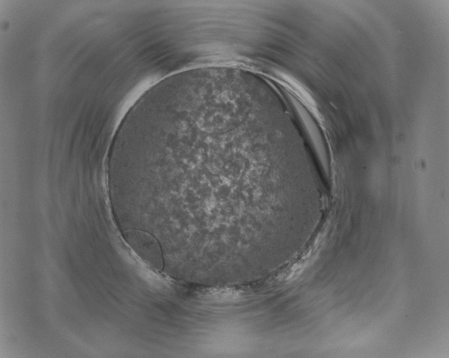 X0000071960907200607141431