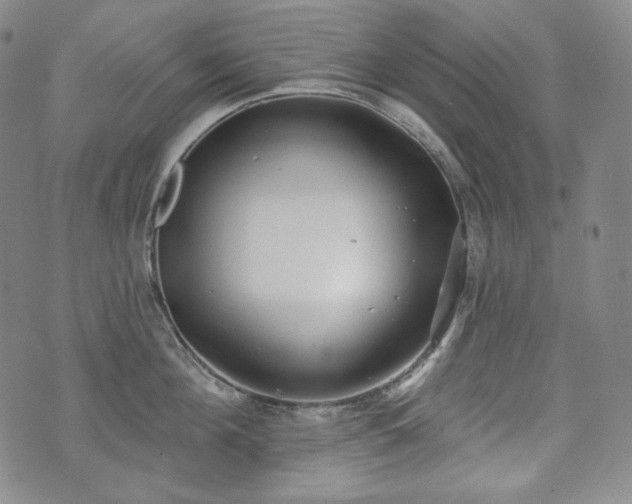 X0000071960908200607141431