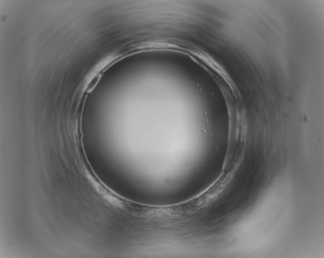 X0000071960909200607141431