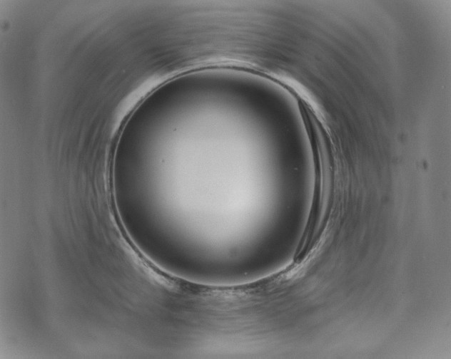 X0000071960910200607141431