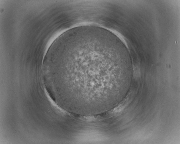 X0000071960911200607141431