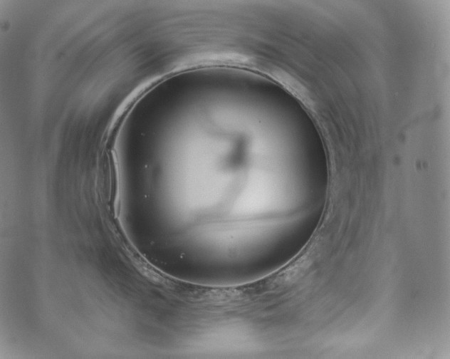 X0000071960912200607141431