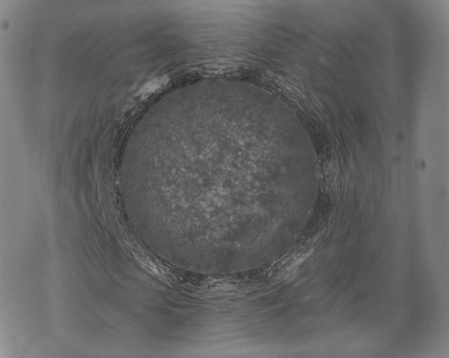 X0000071960913200607141430