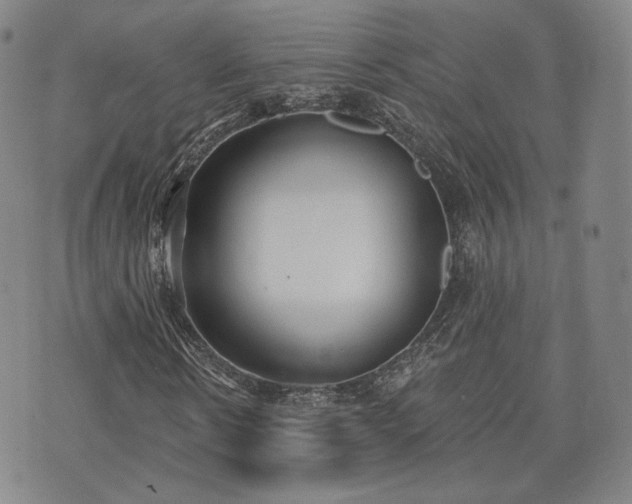 X0000071960914200607141430