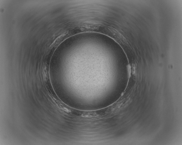 X0000071960915200607141430