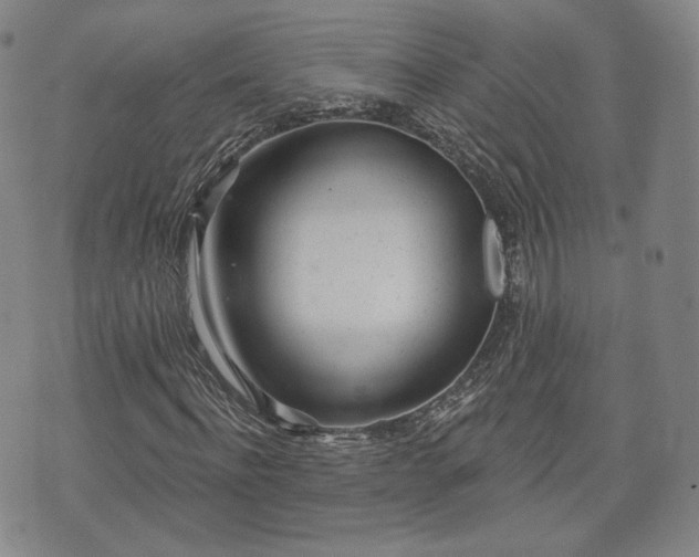 X0000071960916200607141430