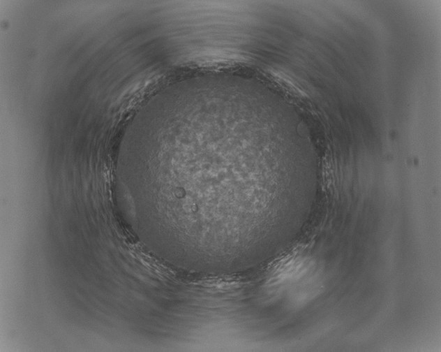 X0000071960917200607141430