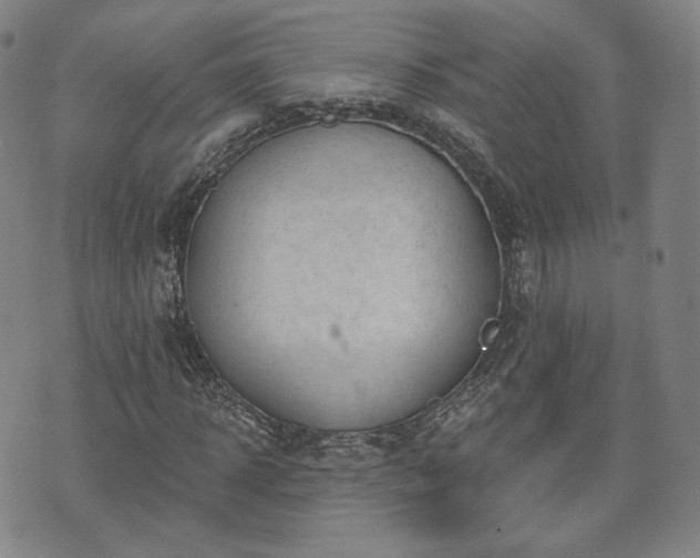 X0000071960918200607141430