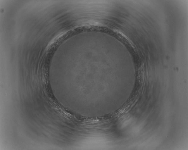 X0000071960919200607141430