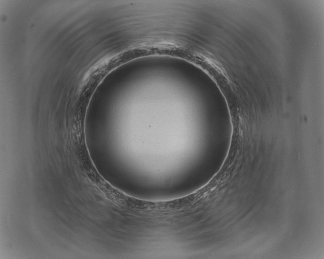 X0000071960920200607141430