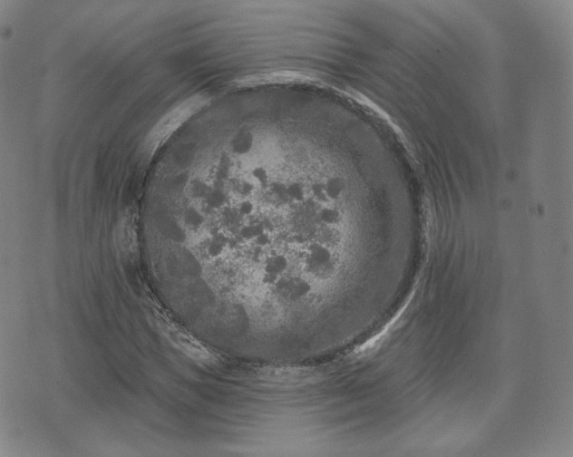 X0000071960921200607141430