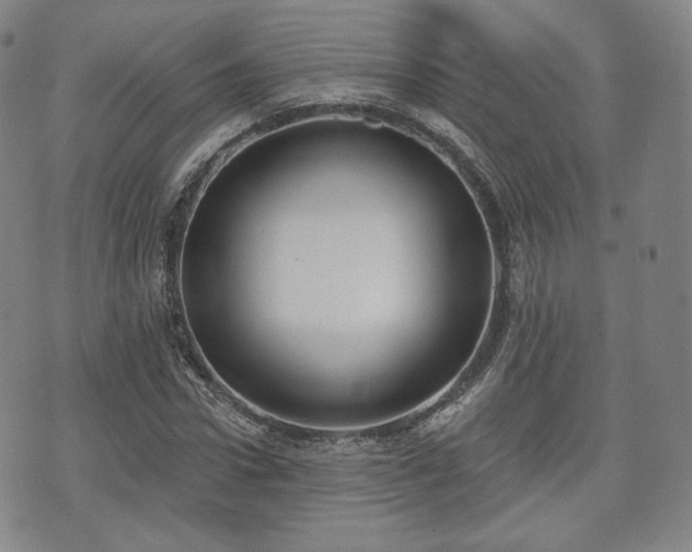 X0000071960922200607141430