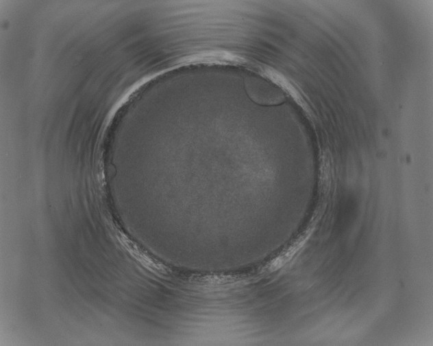 X0000071960923200607141430