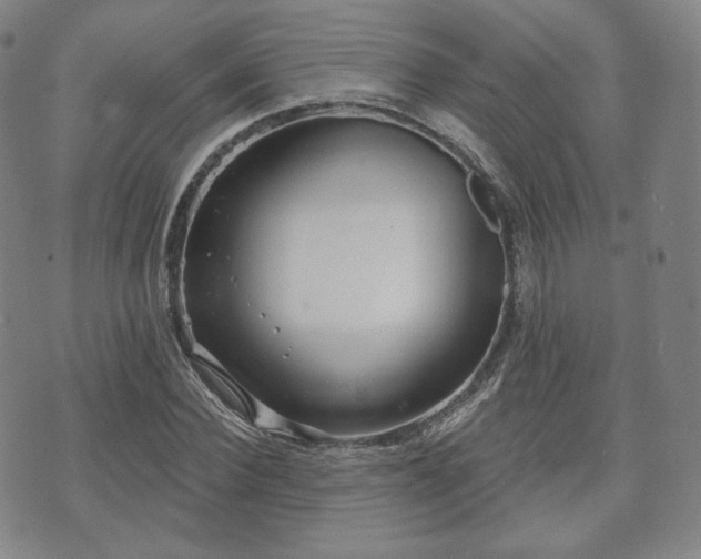 X0000071960924200607141430