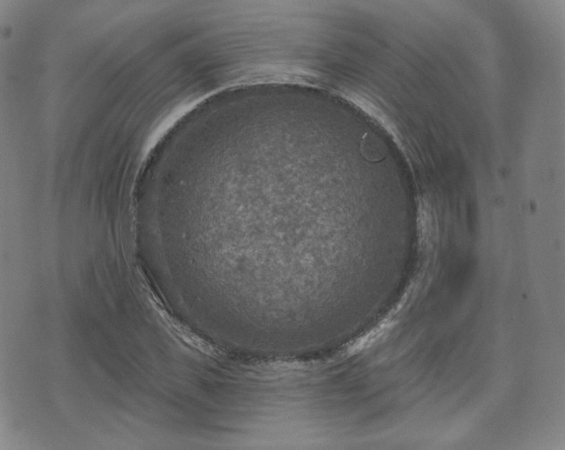 X0000071960925200607141430