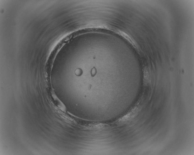 X0000071960926200607141430