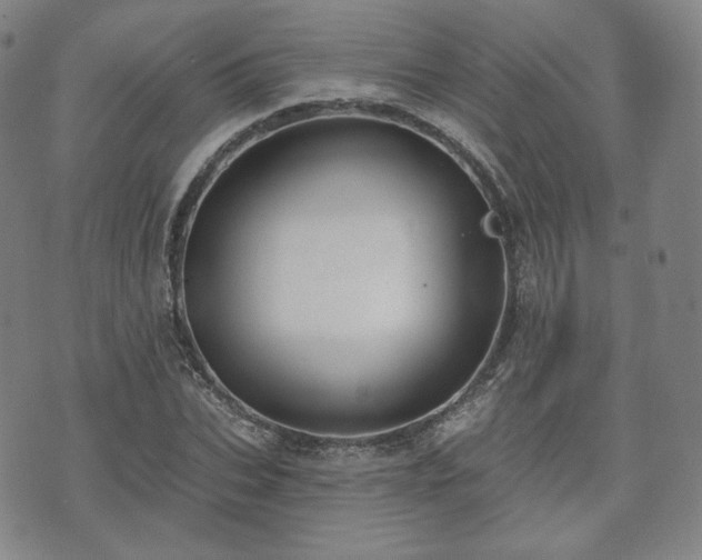 X0000071960927200607141431