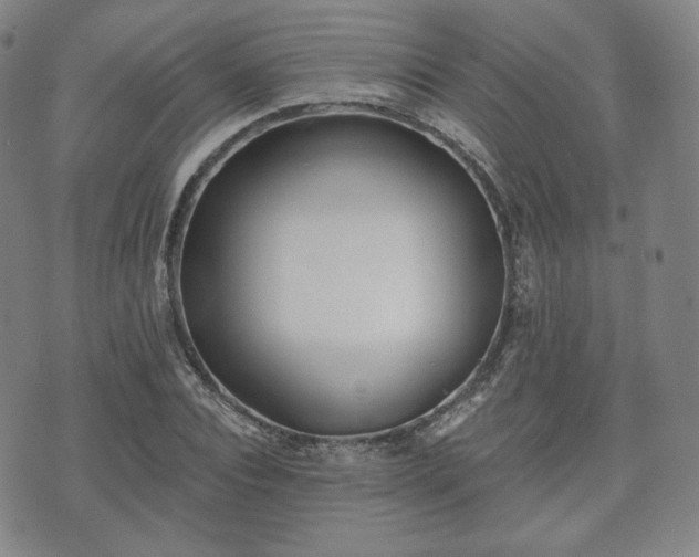 X0000071960928200607141431