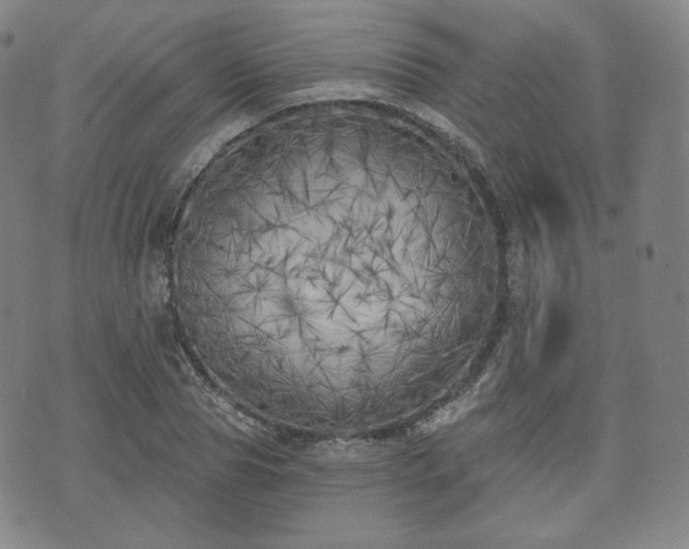 X0000071960929200607141431