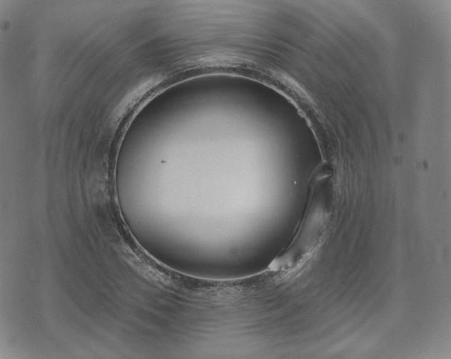 X0000071960930200607141431