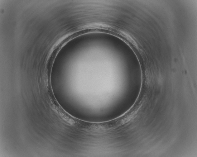 X0000071960931200607141431