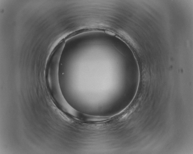 X0000071960932200607141431