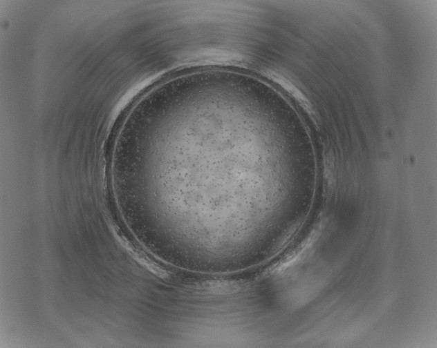 X0000071960933200607141431