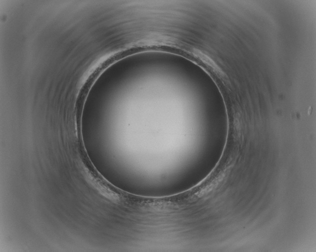 X0000071960934200607141431