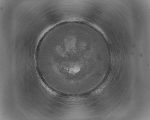 X0000071960935200607141431