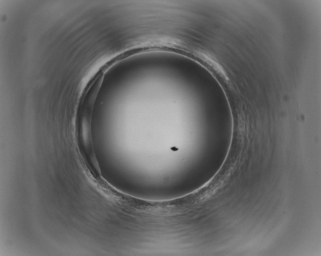 X0000071960936200607141431