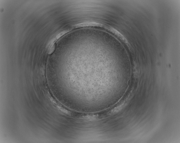 X0000071960937200607141431