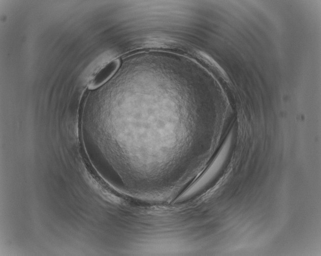 X0000071960938200607141431