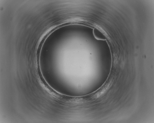 X0000071960939200607141431