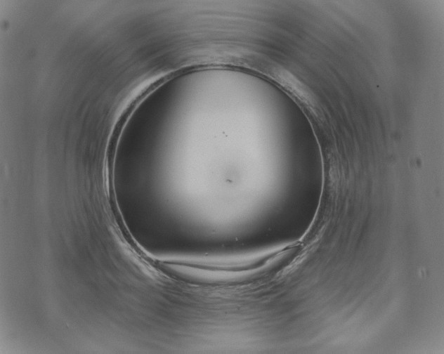 X0000071960940200607141431