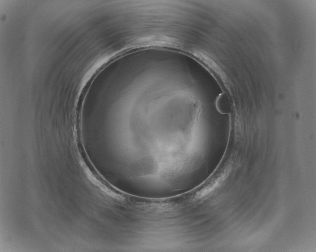 X0000071960941200607141431