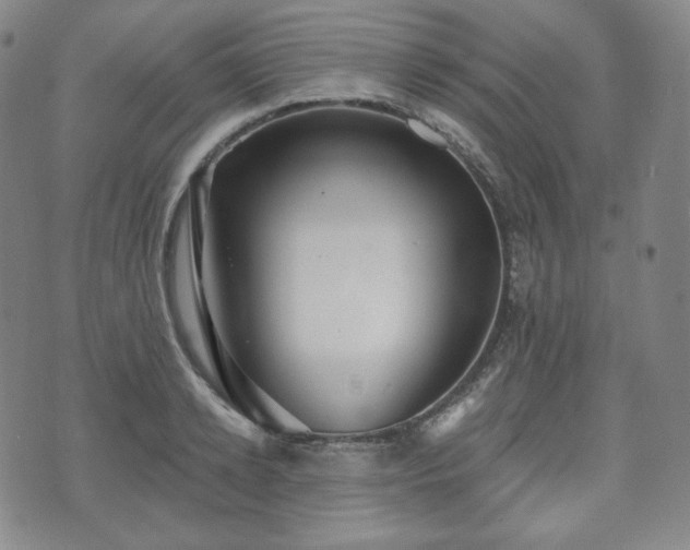 X0000071960942200607141431