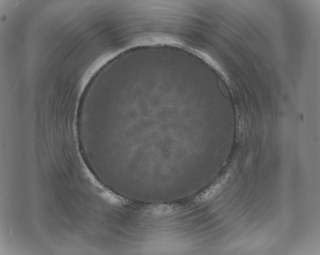 X0000071960943200607141431