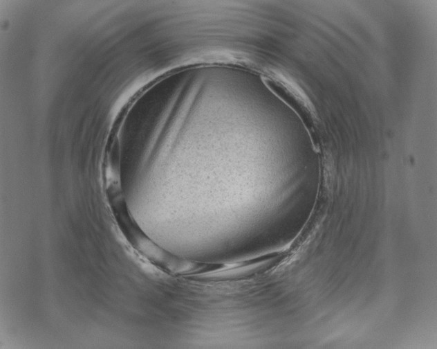 X0000071960944200607141431