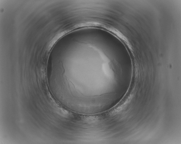 X0000071960945200607141431