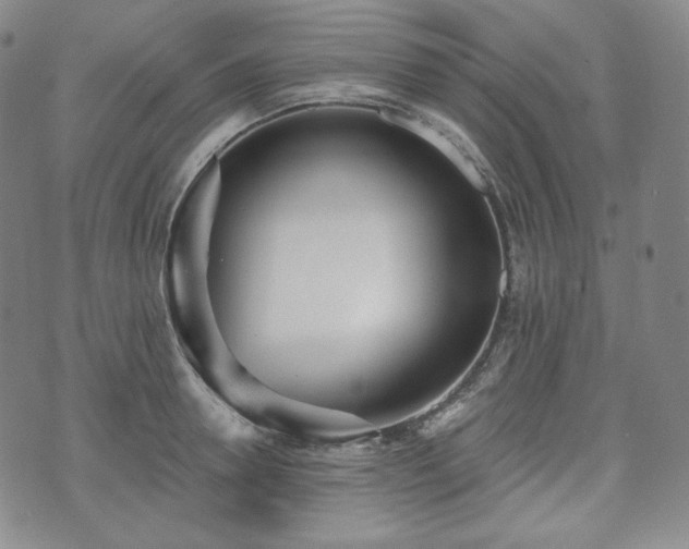 X0000071960946200607141431