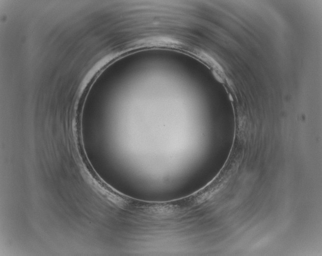 X0000071960947200607141431