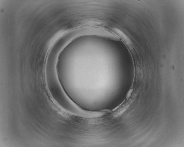 X0000071960948200607141431