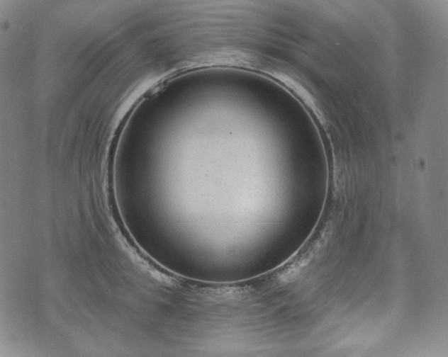 X0000071960949200607141431