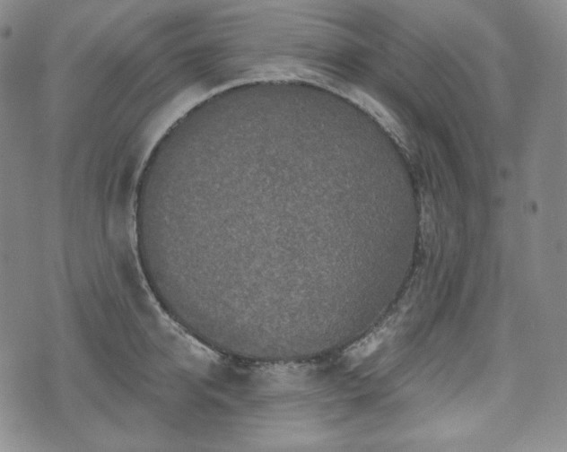 X0000071960950200607141431