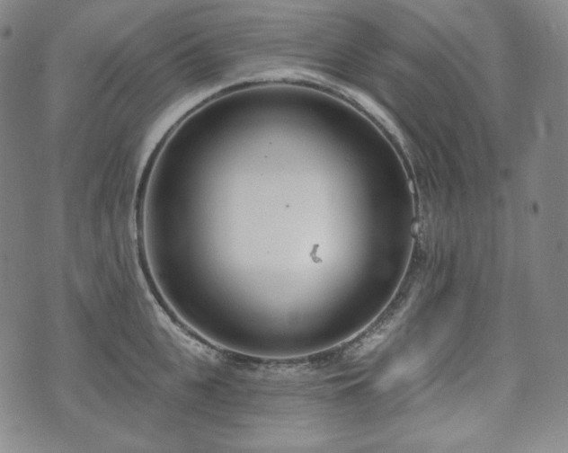 X0000071960951200607141431