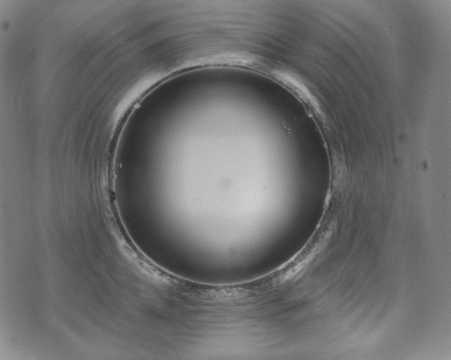 X0000071960952200607141431