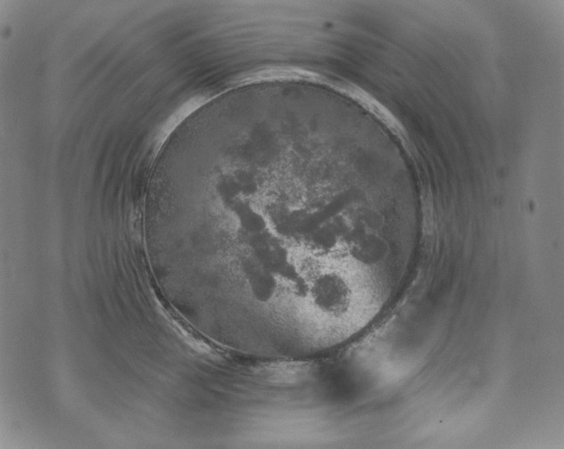 X0000071960953200607141431