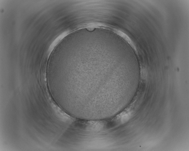 X0000071960954200607141431