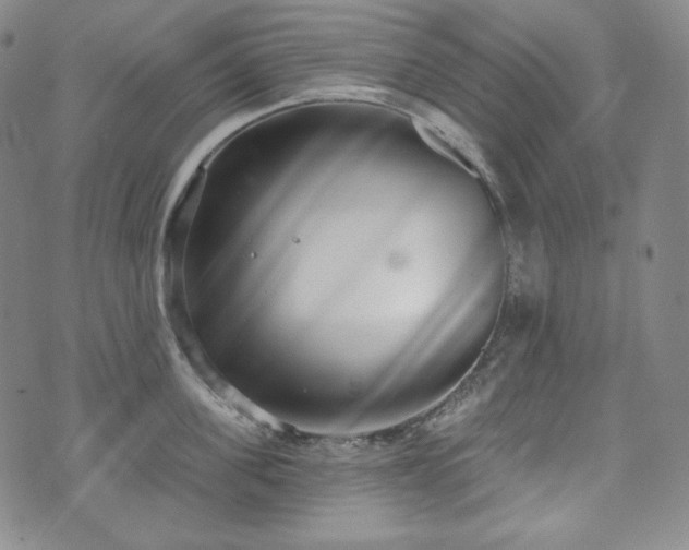 X0000071960955200607141431